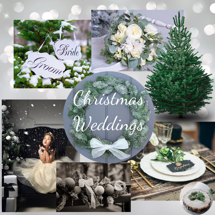 A Christmas Wedding with Pines and Needles