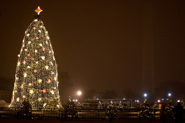 Landmark Christmas Trees with Pines and Needles