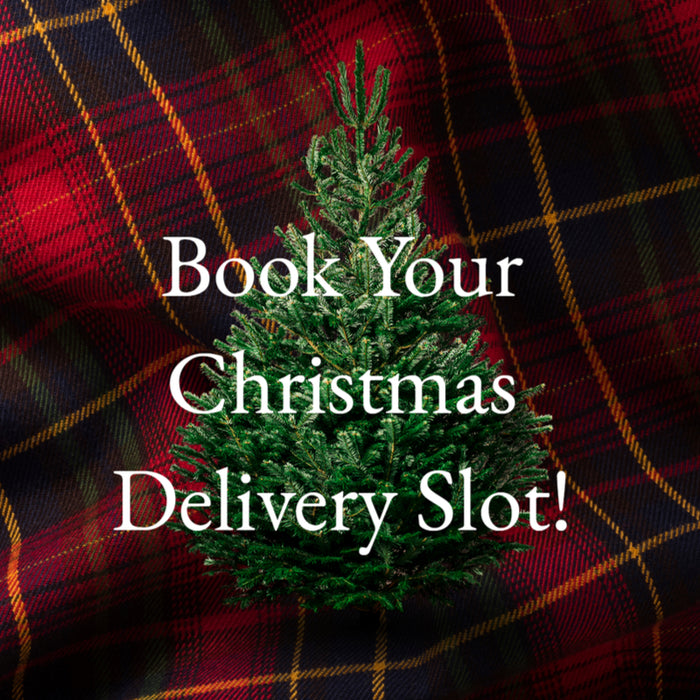 Book Your Christmas Tree Delivery Slot with Pines and Needles