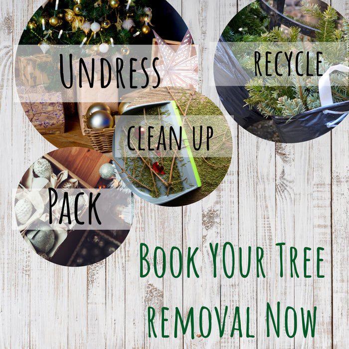 Christmas Tree Recycling Made Easy with Pines and Needles