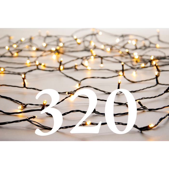 LED Christmas Lights - Warm White - Pick Up from Pines & Needles Store