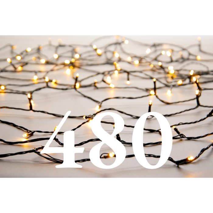 LED Christmas Lights - Warm White - Pick Up from Pines & Needles Store