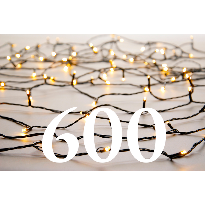 LED Christmas Lights - Warm White - Pick Up from Pines & Needles Store