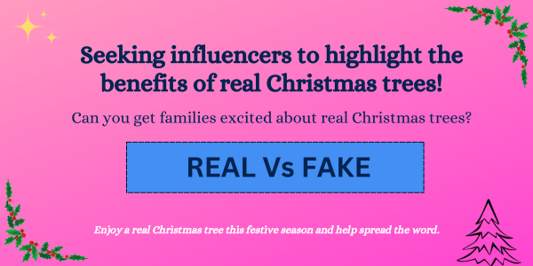 Real vs. Fake Christmas Trees: Join the Debate!