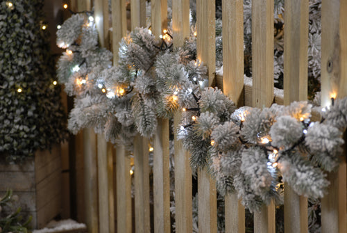 1000 Firefly Lights Ice And Warm White | Pines And Needles