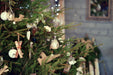 8ft Decorated Norway Spruce Christmas Tree from Pines and Needles